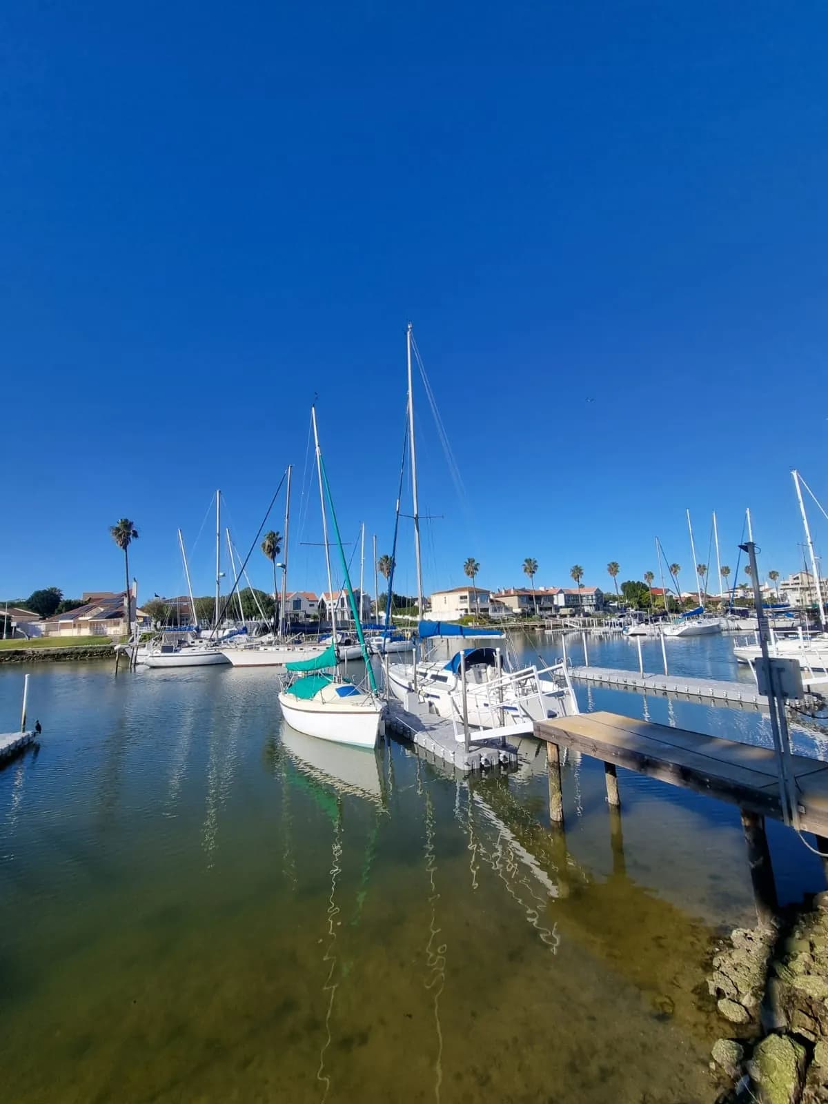 Yachts moored on a calm morning at Port Owen marina